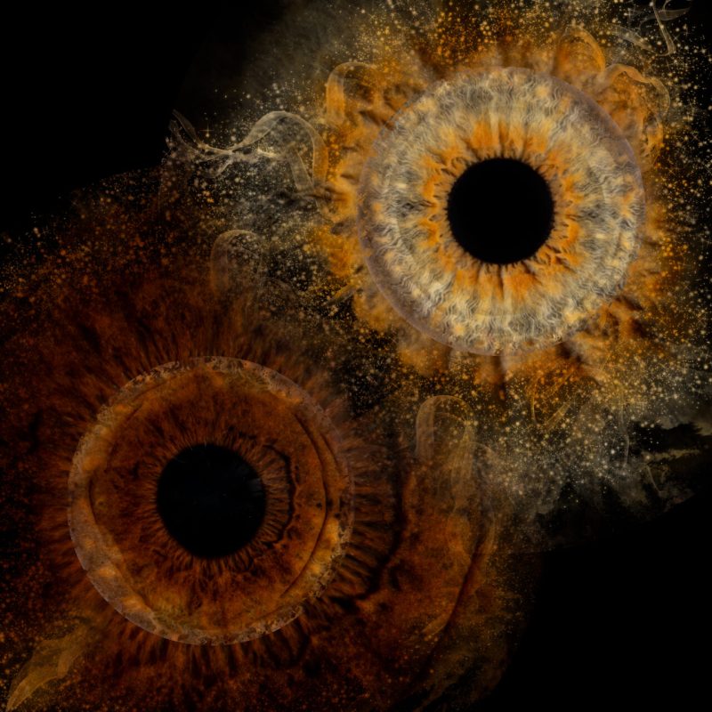 double-iris-amoureux-1280x1280